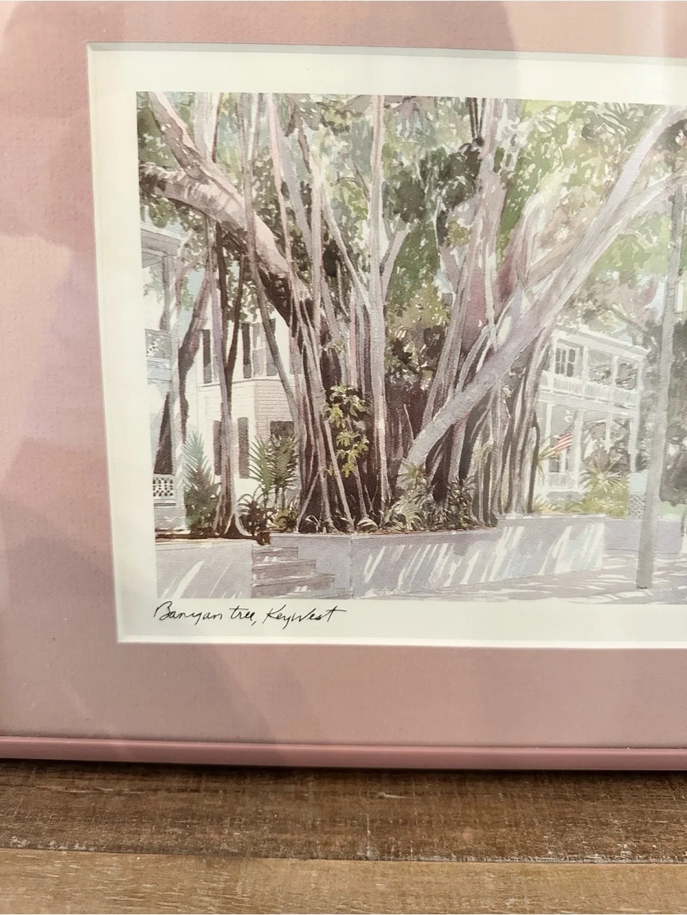 Pink Framed Mat Botanical Wall Art Robert E. Kennedy Iconic Banyan Tree Key West